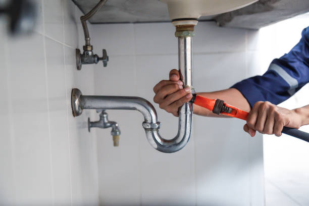 Best Drain Cleaning Services  in Muscle Shos, AL